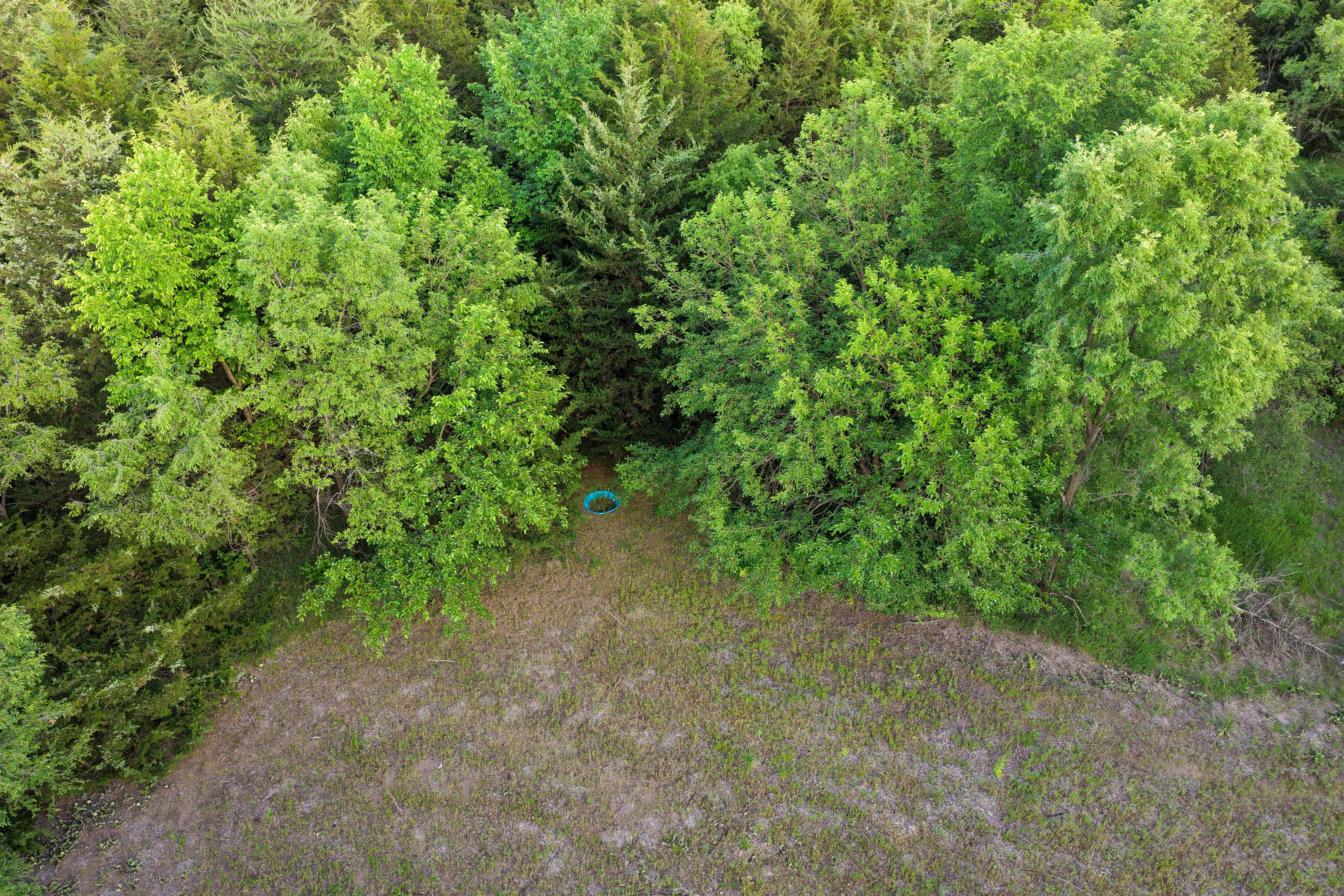 Listing Photo: Small Recreational Land For Sale in Lee County, Iowa-22